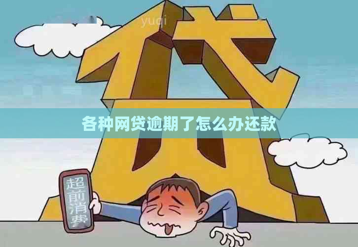 各种网贷逾期了怎么办还款