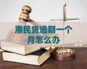 惠民贷逾期一个月怎么办