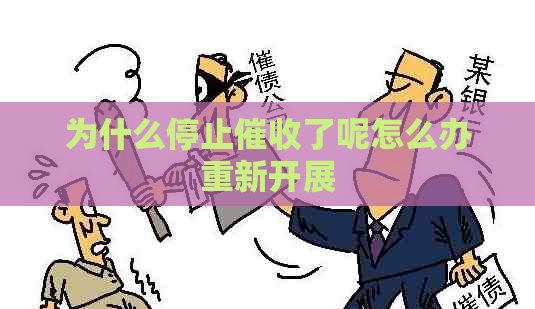 为什么停止了呢怎么办重新开展