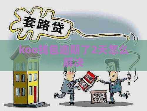 koo钱包逾期了2天怎么解决