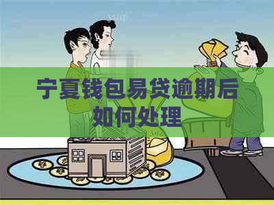 宁夏钱包易贷逾期后如何处理