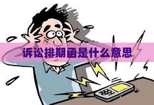 诉讼排期函是什么意思