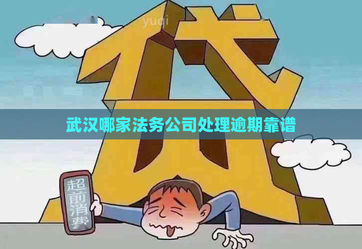 武汉哪家法务公司处理逾期靠谱