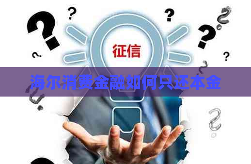 海尔消费金融如何只还本金