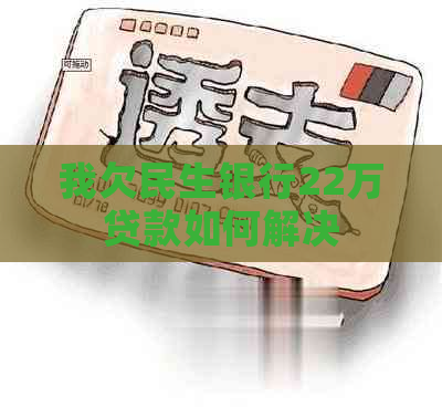 我欠民生银行22万贷款如何解决