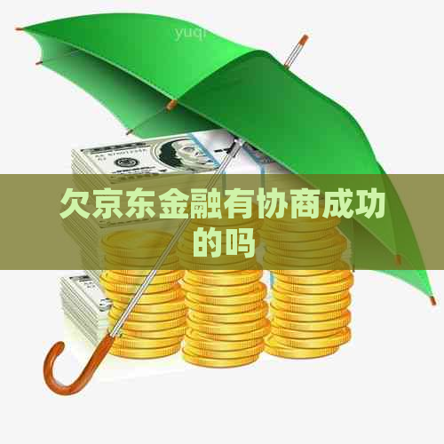 欠京东金融有协商成功的吗