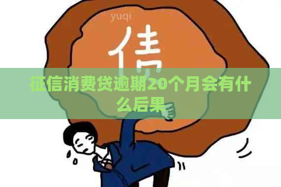 消费贷逾期20个月会有什么后果