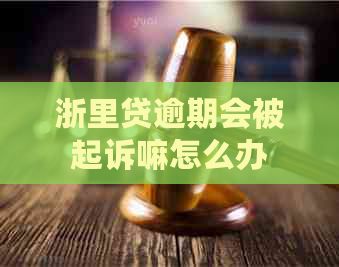 浙里贷逾期会被起诉嘛怎么办