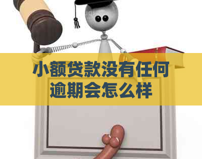 小额贷款没有任何逾期会怎么样