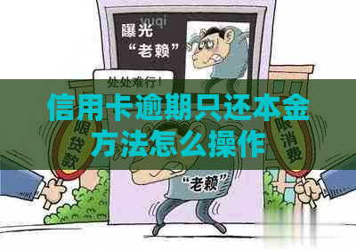 信用卡逾期只还本金方法怎么操作