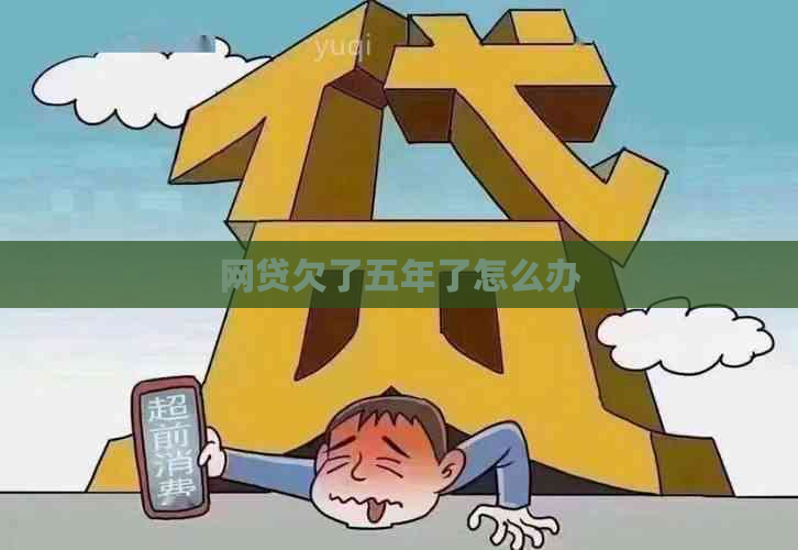 网贷欠了五年了怎么办