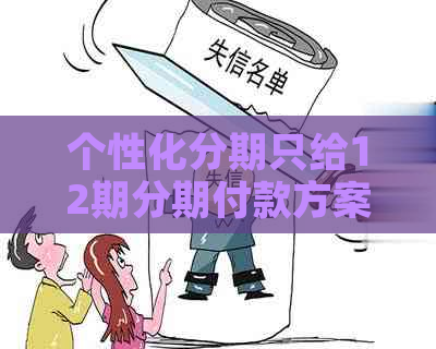 个性化分期只给12期分期付款方案