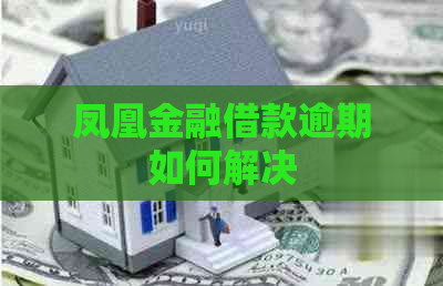 凤凰金融借款逾期如何解决