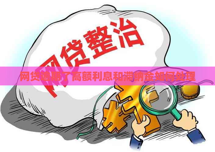 网贷逾期了高额利息和滞纳金如何处理