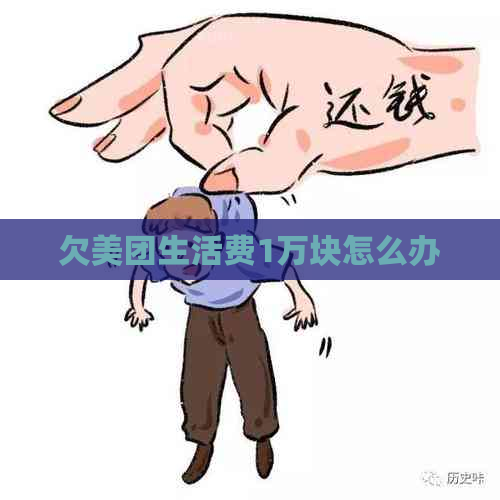 欠美团生活费1万块怎么办