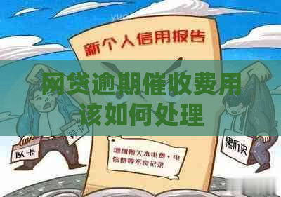 网贷逾期费用该如何处理