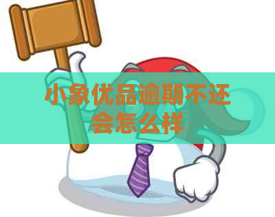 小象优品逾期不还会怎么样