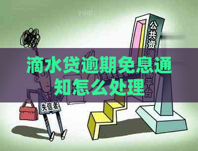 滴水贷逾期免息通知怎么处理