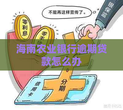 海南农业银行逾期贷款怎么办