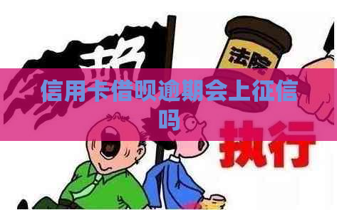 信用卡借呗逾期会上吗