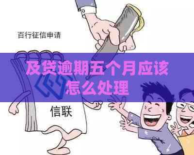 及贷逾期五个月应该怎么处理