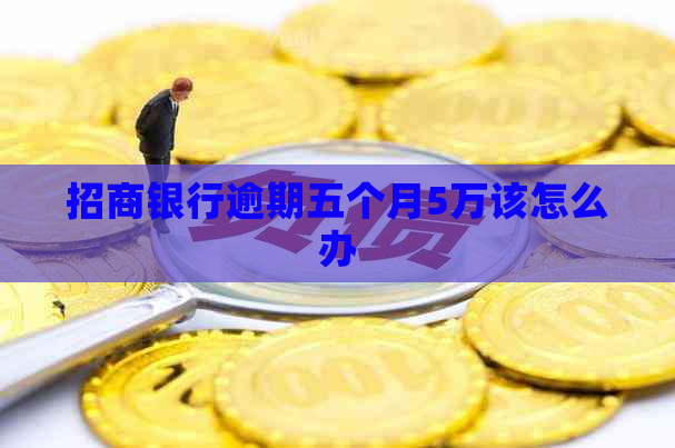 招商银行逾期五个月5万该怎么办