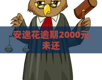 安逸花逾期2000元未还