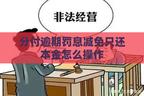 分付逾期罚息减免只还本金怎么操作