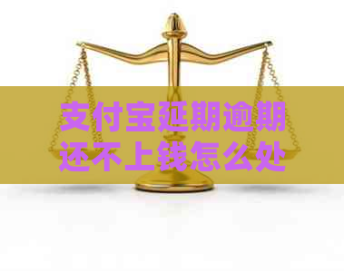 支付宝延期逾期还不上钱怎么处理