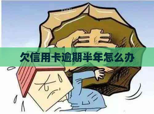 欠信用卡逾期半年怎么办