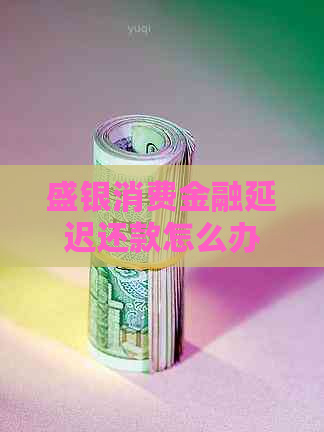 盛银消费金融延迟还款怎么办