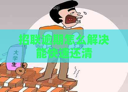 招联逾期怎么解决能快速还清