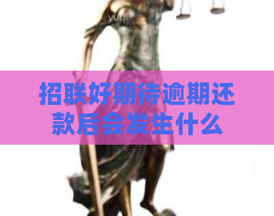 招联好期待逾期还款后会发生什么