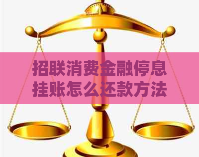 招联消费金融停息挂账怎么还款方法