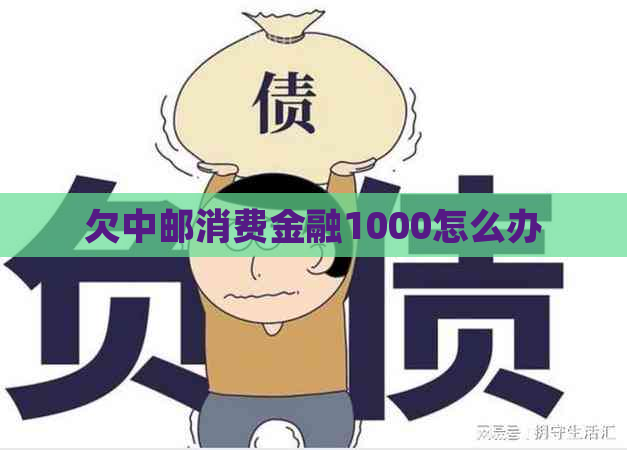 欠中邮消费金融1000怎么办