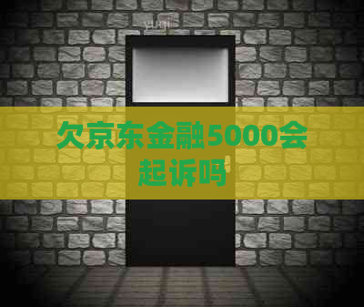 欠京东金融5000会起诉吗