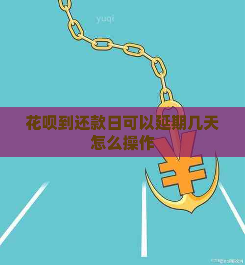 花呗到还款日可以延期几天怎么操作