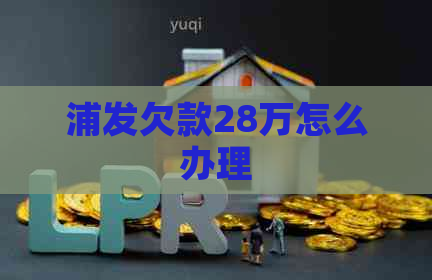 浦发欠款28万怎么办理