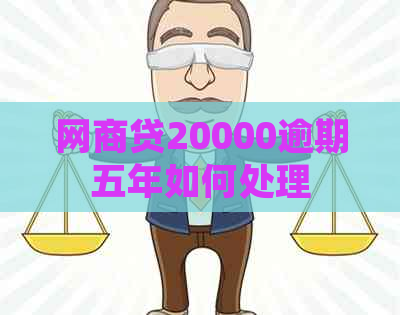 网商贷20000逾期五年如何处理