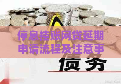 停息挂账网贷延期申请流程及注意事项