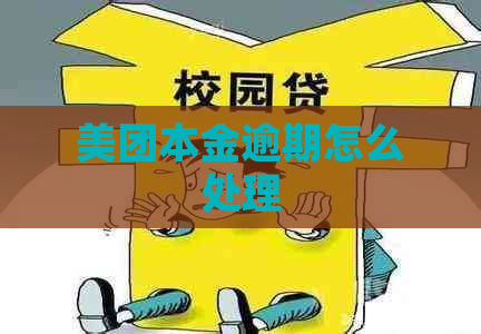 美团本金逾期怎么处理