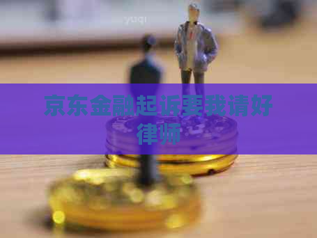 京东金融起诉要我请好律师