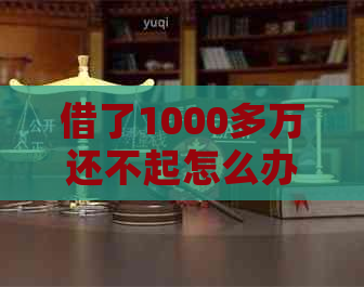 借了1000多万还不起怎么办急需解决方法