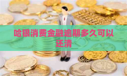 哈银消费金融逾期多久可以还清