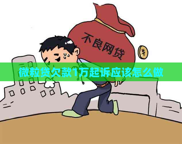 微粒贷欠款1万起诉应该怎么做