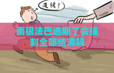 南银法巴逾期了会强制全部结清吗