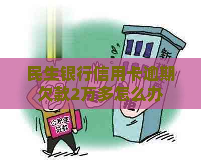 民生银行信用卡逾期欠款2万多怎么办