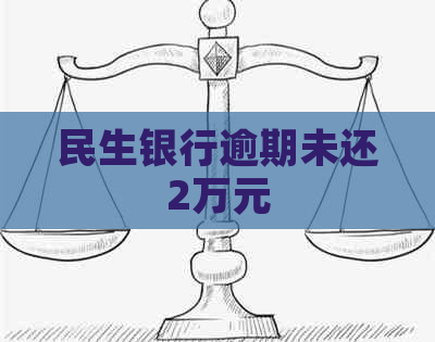 民生银行逾期未还2万元