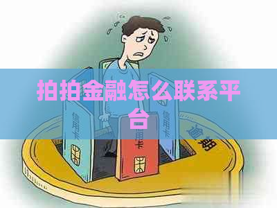 拍拍金融怎么联系平台