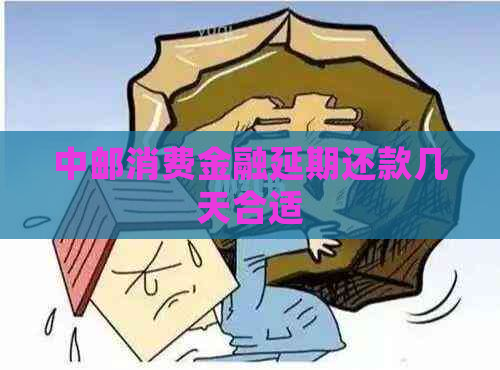 中邮消费金融延期还款几天合适